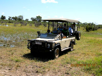 On One of Our Two Daily Game Drives Across the Bush