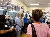 Prosthetic Devices