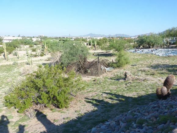 Dove Coop