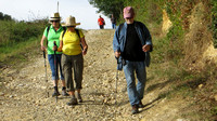 Walking back after lunch