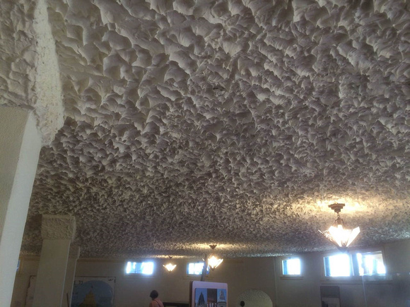 Sculptured Ceiling