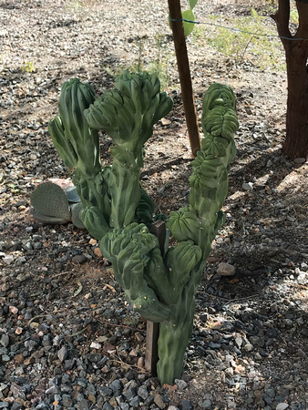 2018 Tempe Campus Tour