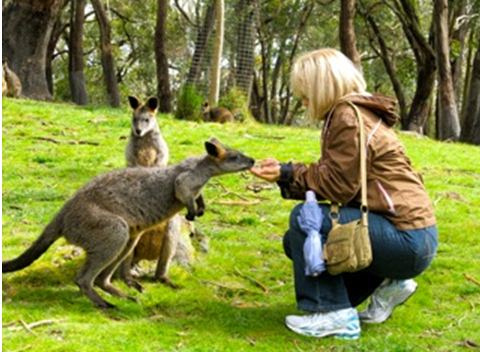 Debbe Duffy with the Kangaroos