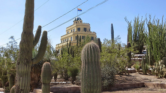 Cactus & Castle