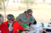 December Picnic in the Park