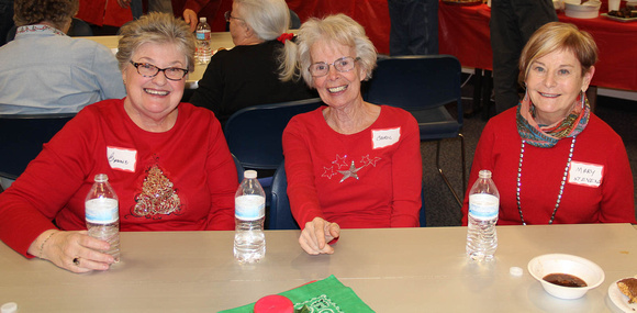 Bonnie Scheall, Carol Berg, & Mary Stevens